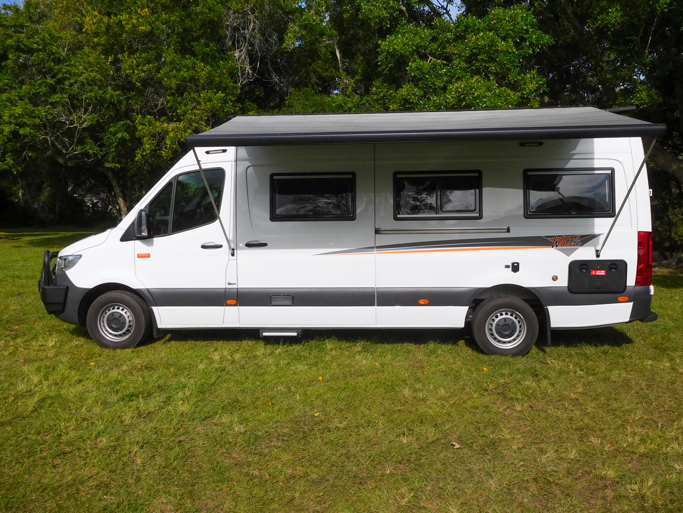 9156_Wattle-10