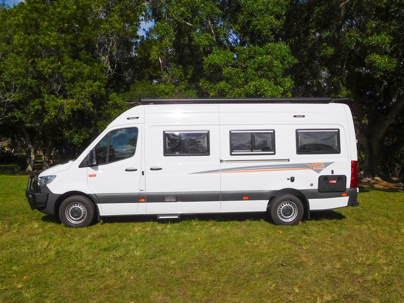 9156_Wattle-13