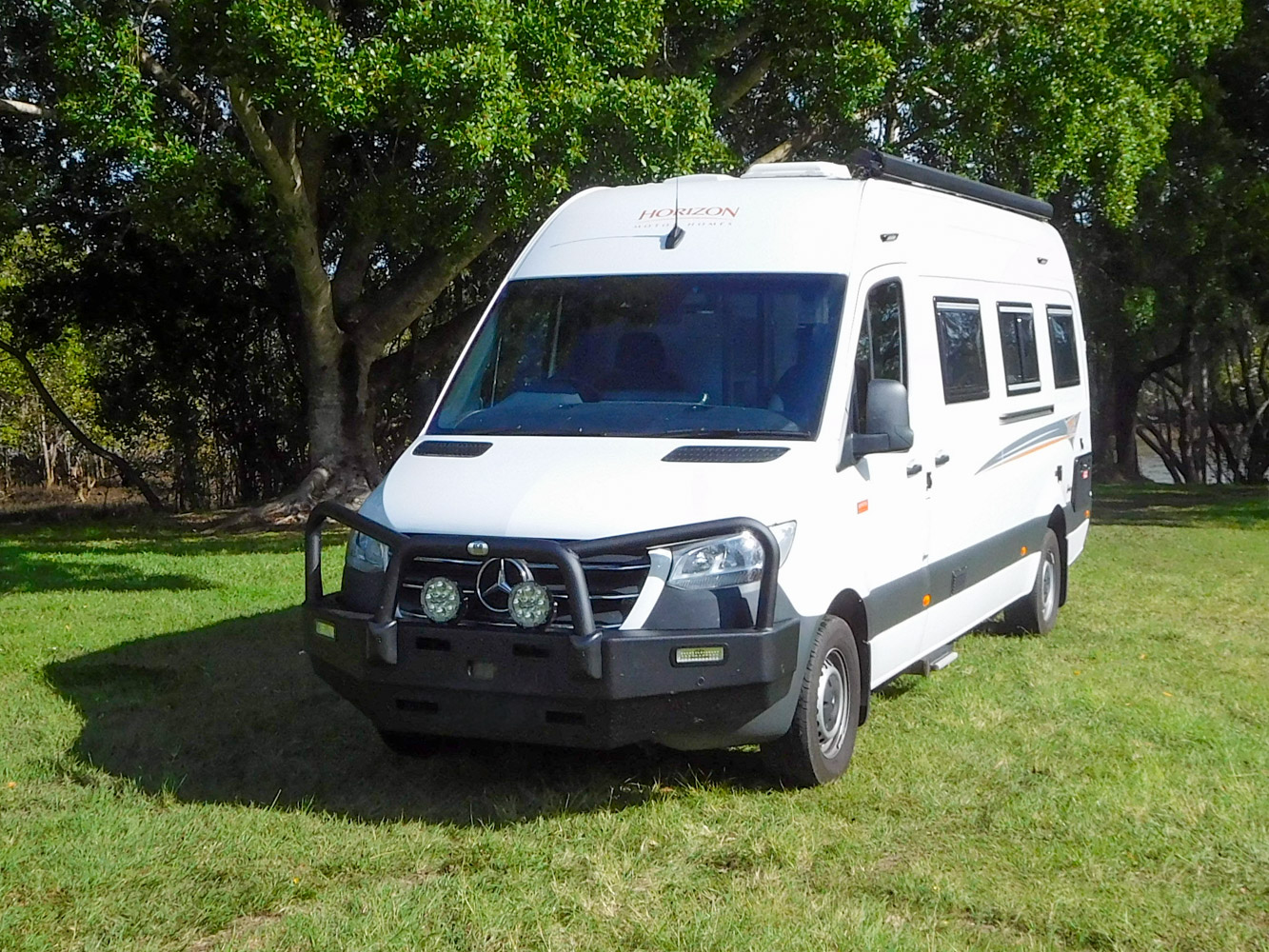 9156_Wattle-14